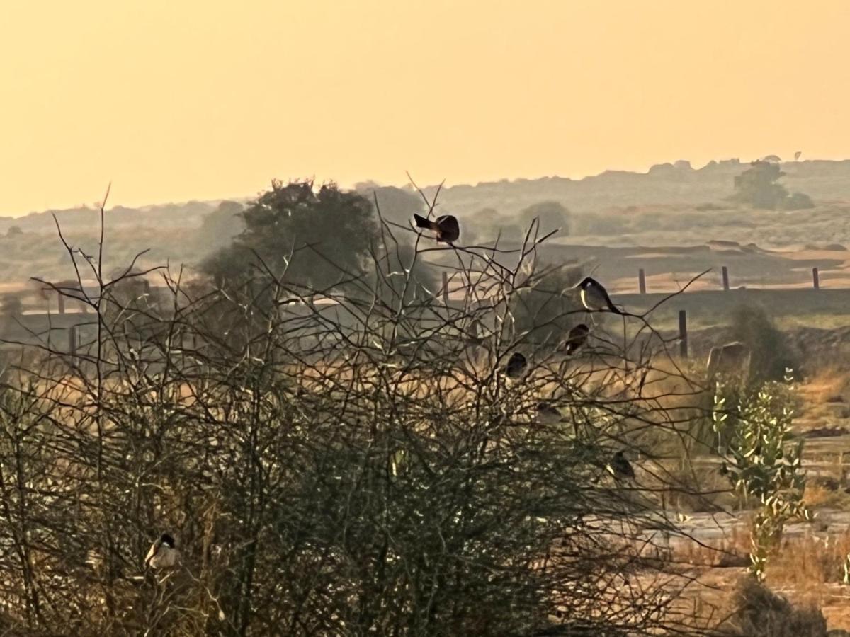 ג'איסלמר Golden Villa מראה חיצוני תמונה